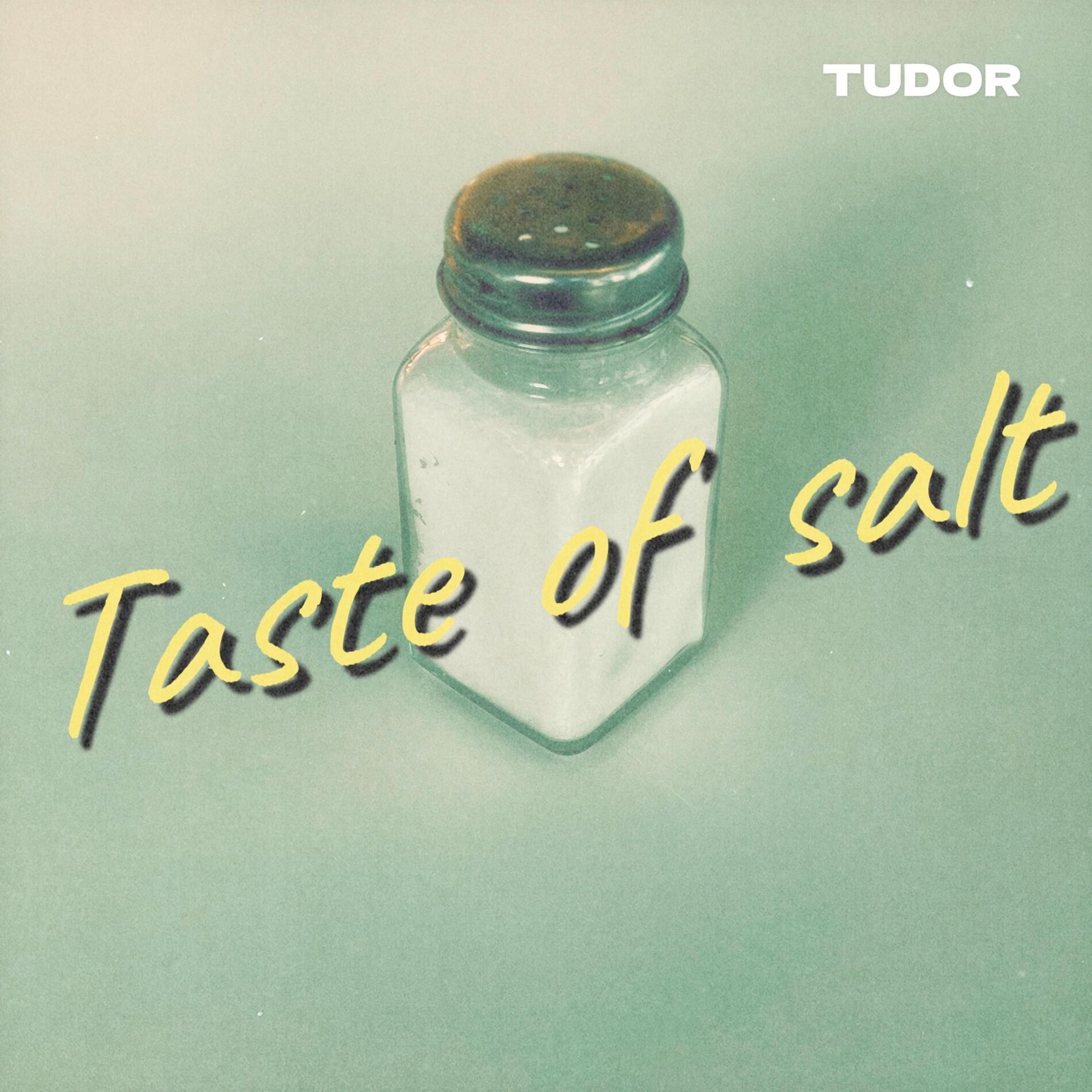 Album cover of Taste of salt