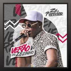 Cover of Verão do Zezinho