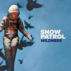 Cover of Wildness (Deluxe)