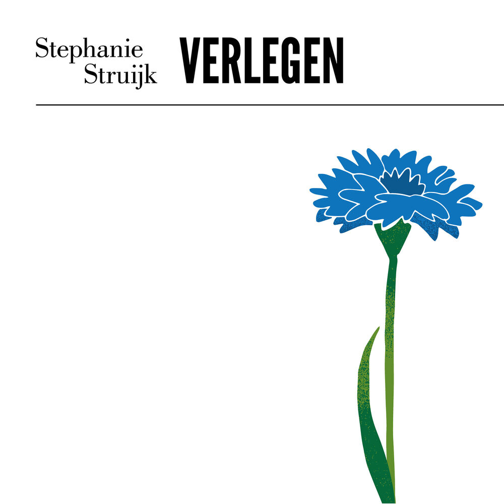 Picture of Verlegen