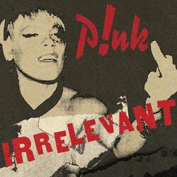 Cover of Irrelevant