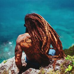 Cover of Heal