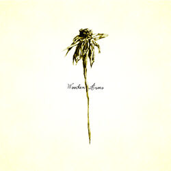 Cover of Wooden Arms