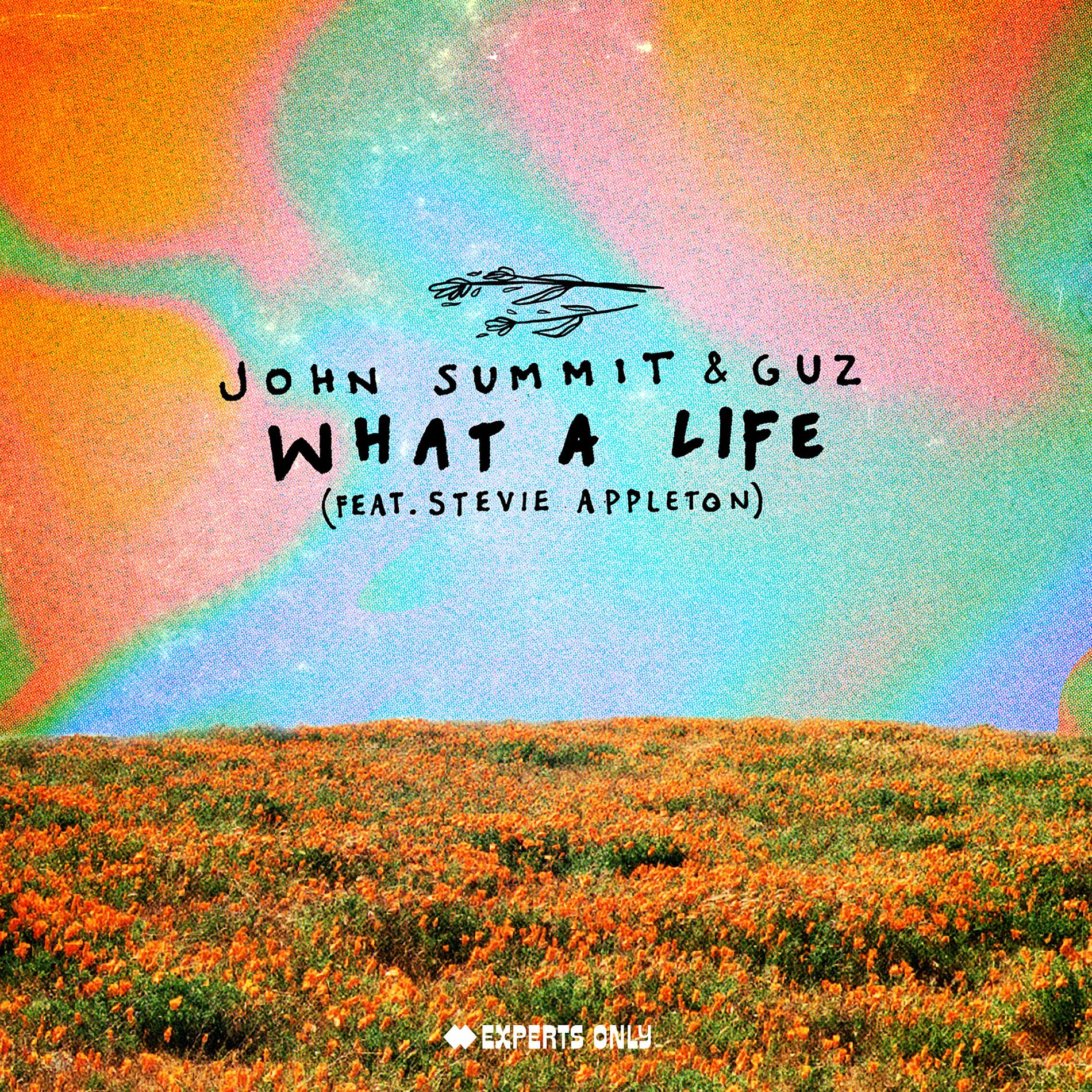 Album cover of What A Life (feat. Stevie Appleton)