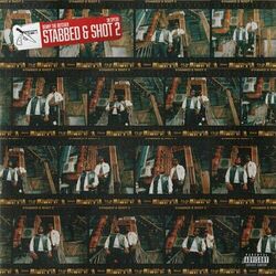 Cover of STABBED & SHOT 2