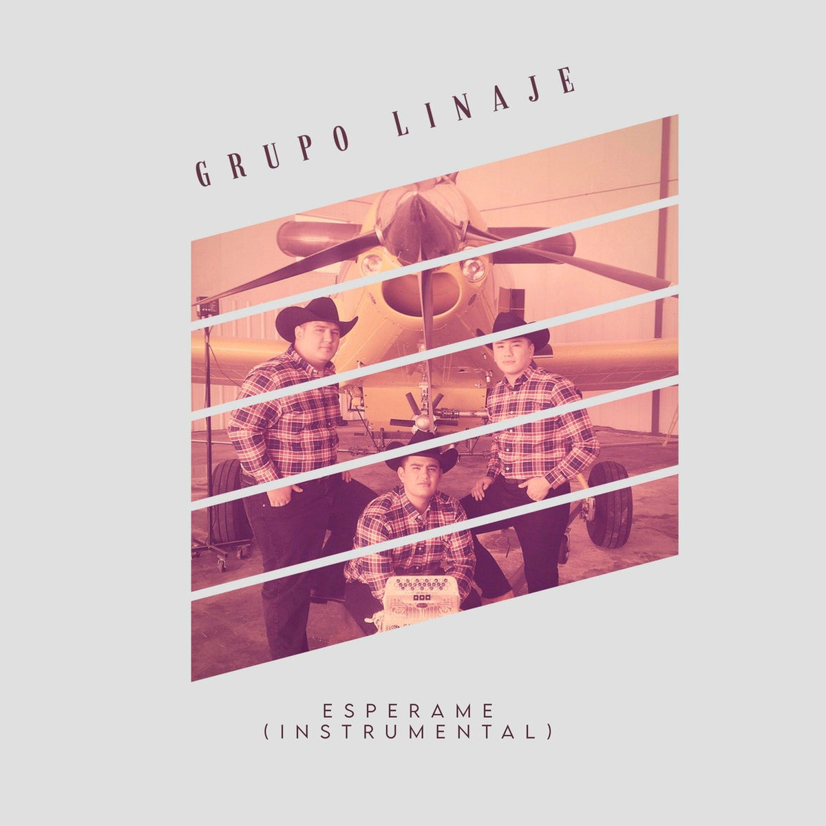 Album cover of Espérame (Instrumental)