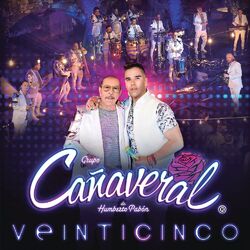 Cover of Veinticinco