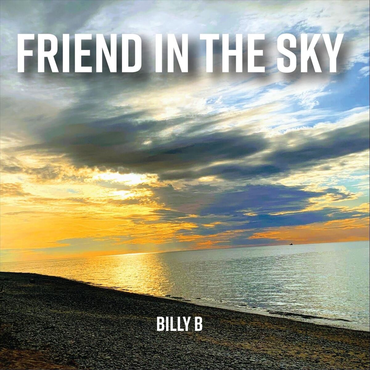 Album cover of Friend in the Sky
