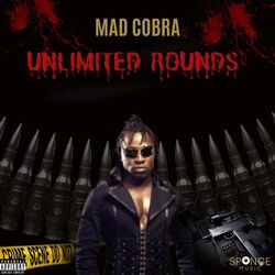 Cover of Unlimited Rounds