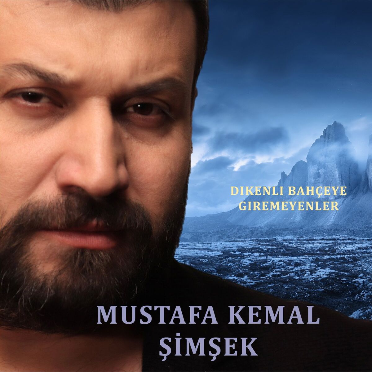 Album cover of Dikenli Bahçaya Giremeyenler