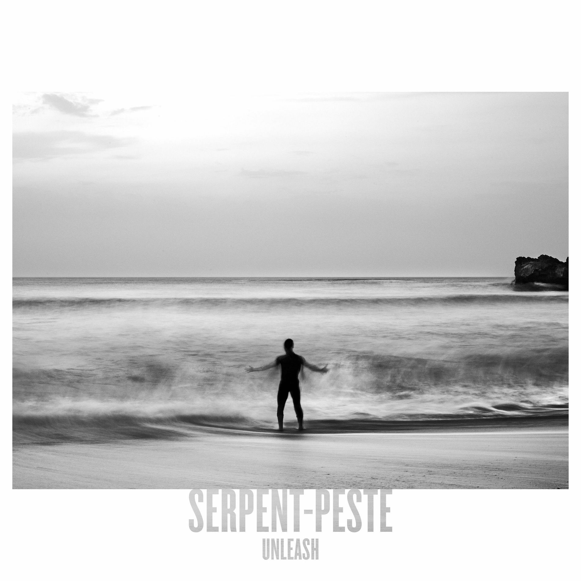 Album cover of UNLEASH