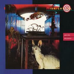 Cover of Species Deceases