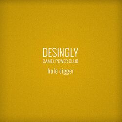 Cover of Hole Digger