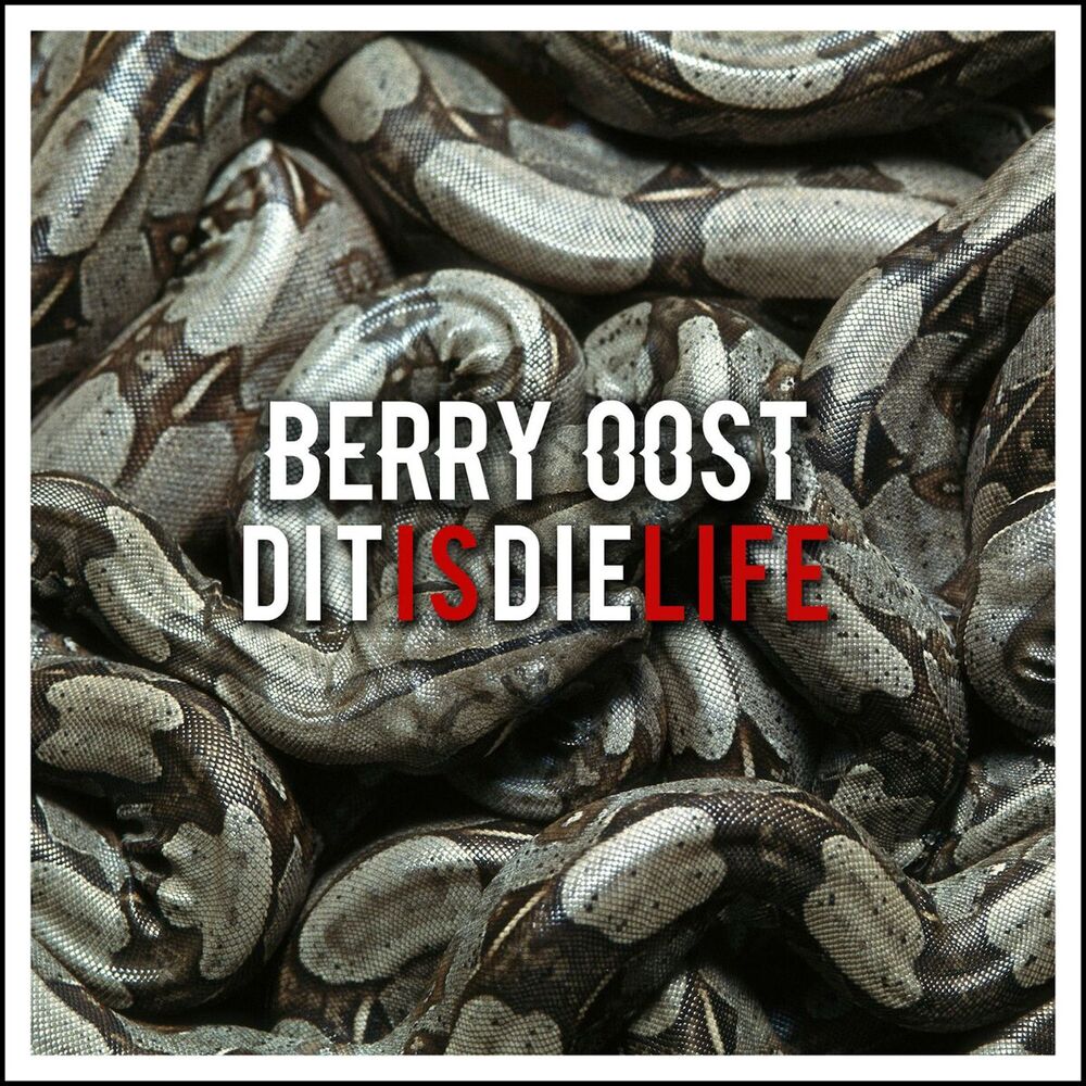 Picture of Dit Is Die Life