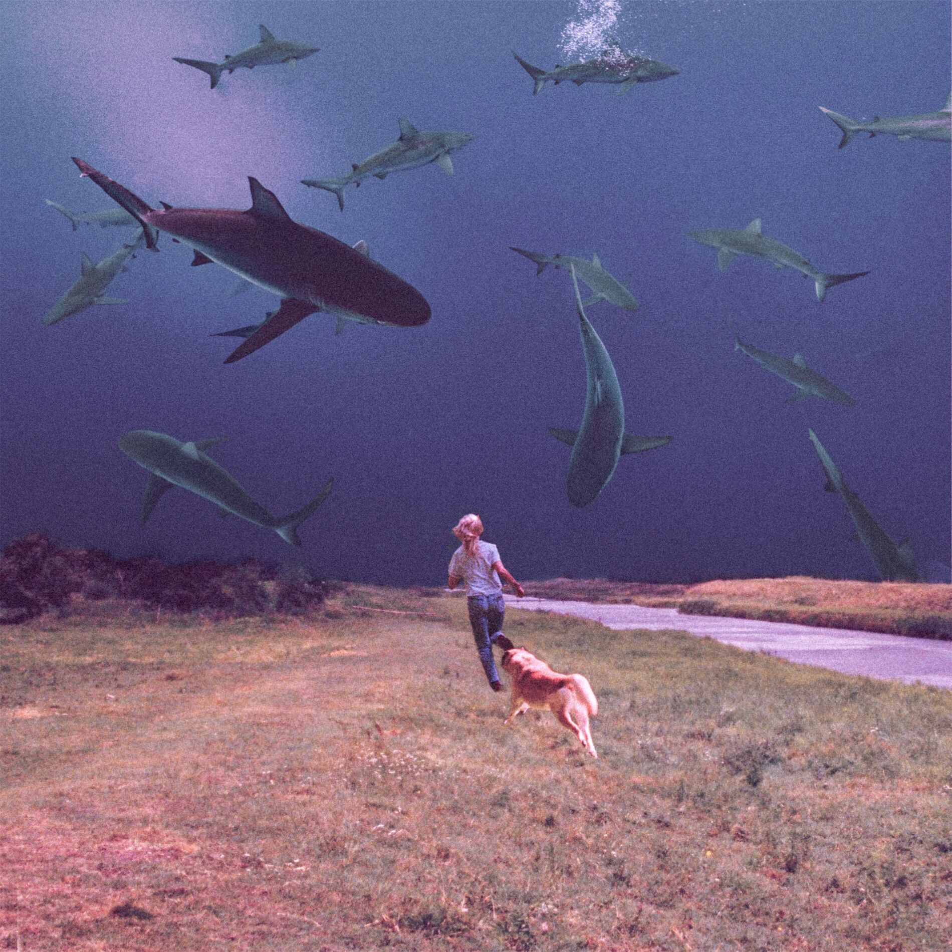 Album cover of Lose You