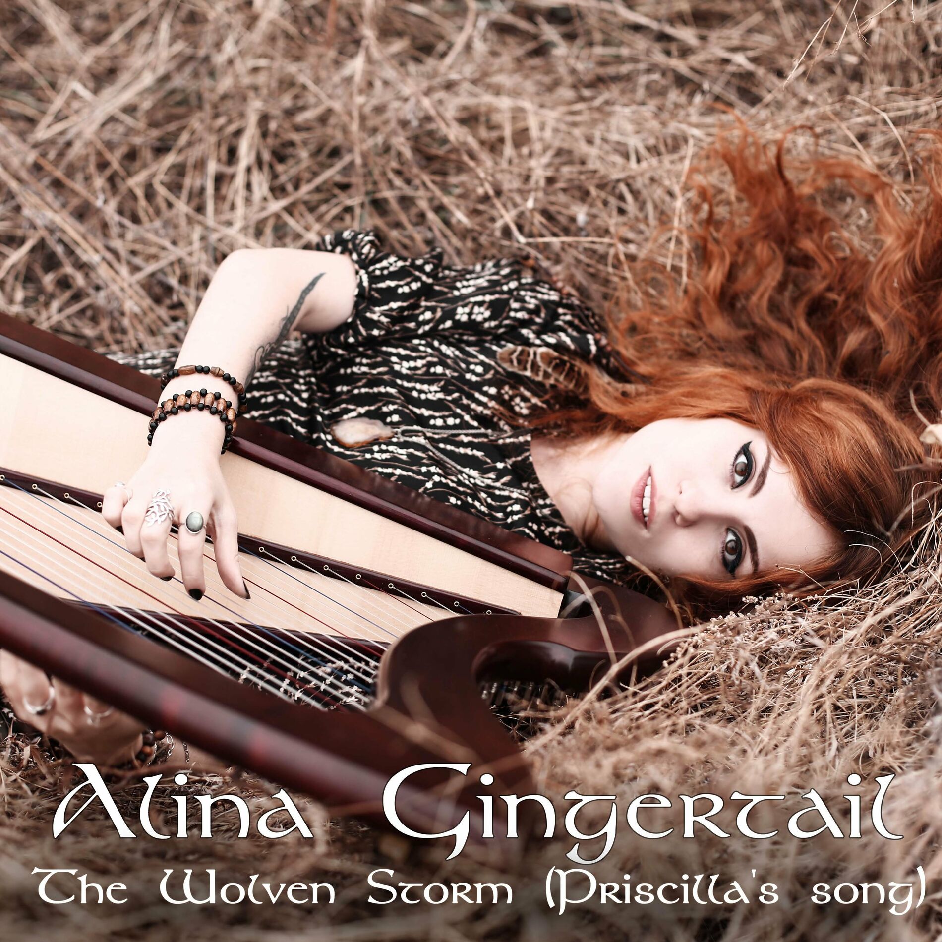 Album cover of The Wolven Storm (Priscilla's Song)