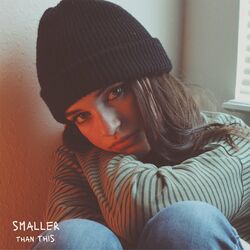 Cover of Smaller Than This