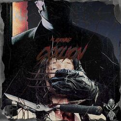 Cover of The Burning (Extended)