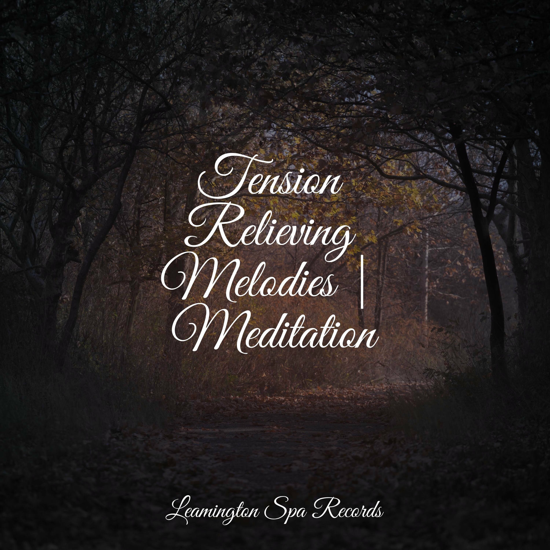 Album cover of Tension Relieving Melodies | Meditation