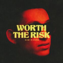 Cover of Worth The Risk