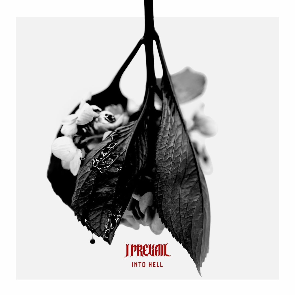 Album cover of Into Hell