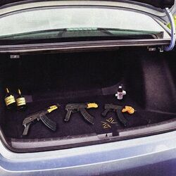 Cover of trunk
