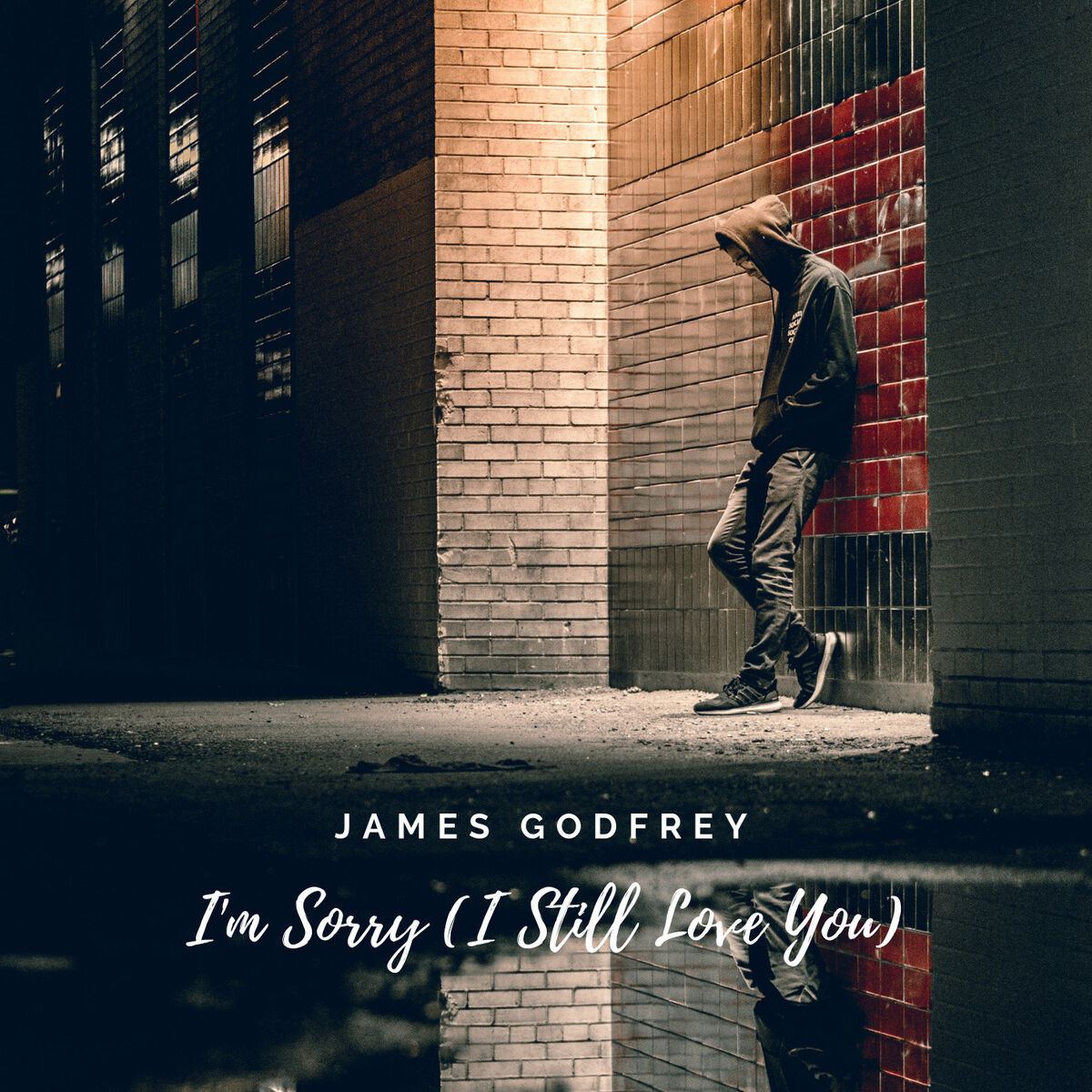 Album cover of I’m Sorry (I Still Love You)