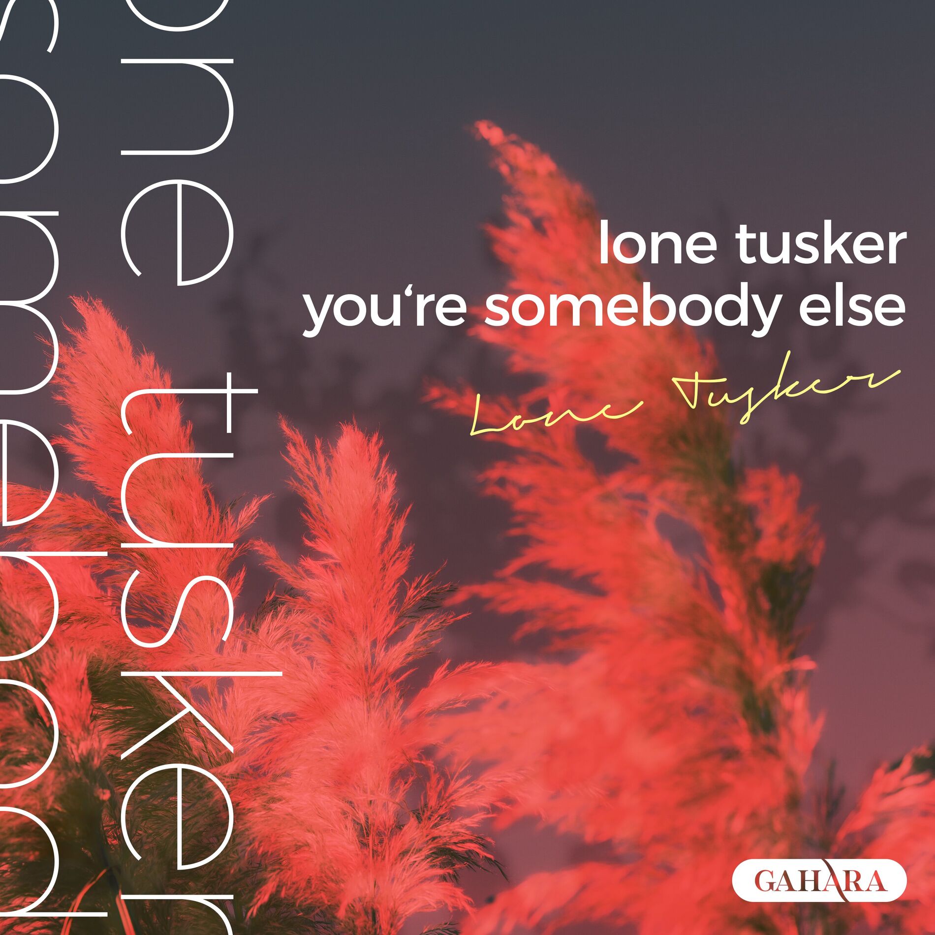 Album cover of You're Somebody Else