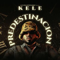 Cover of PREDESTINACION