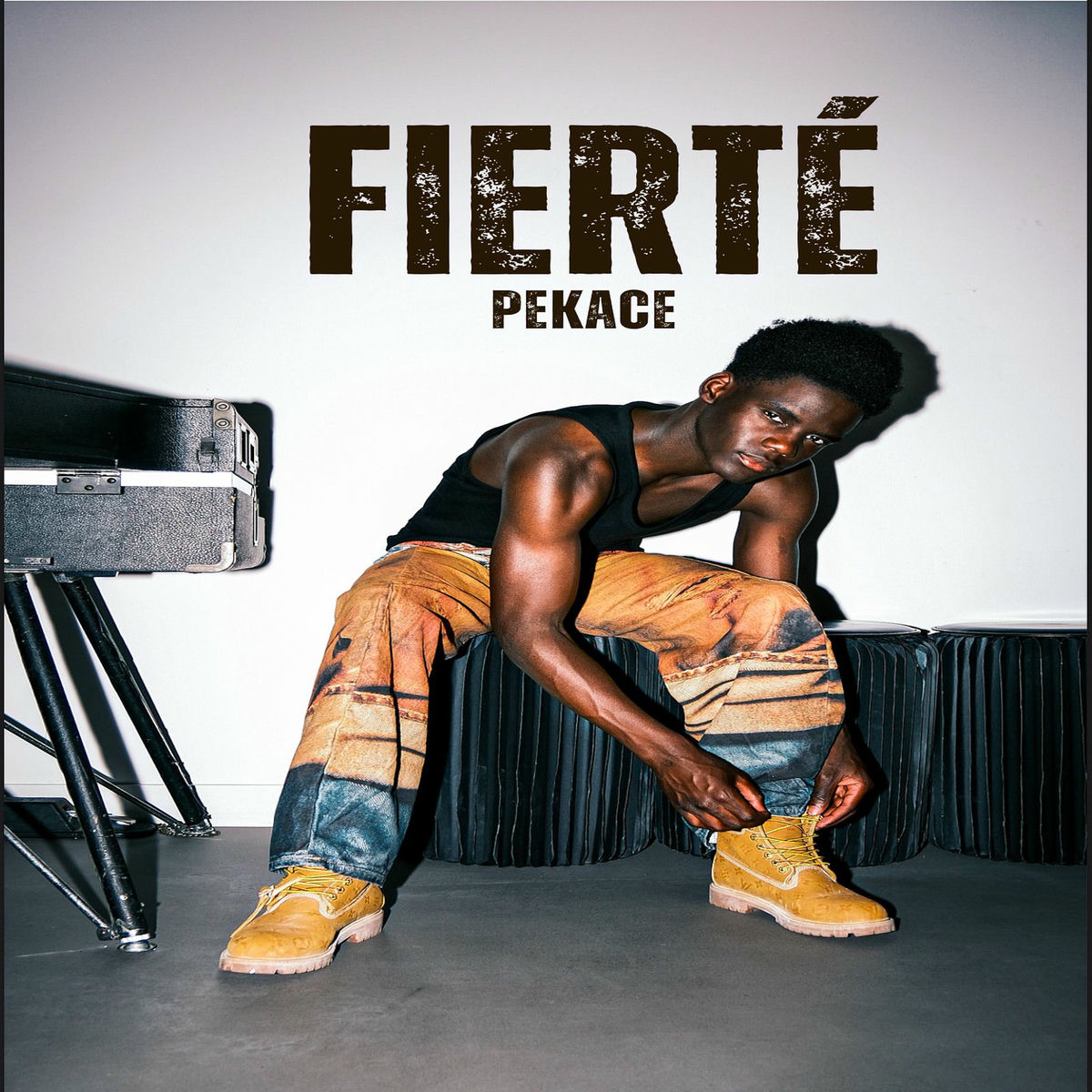 Album cover of Fierte