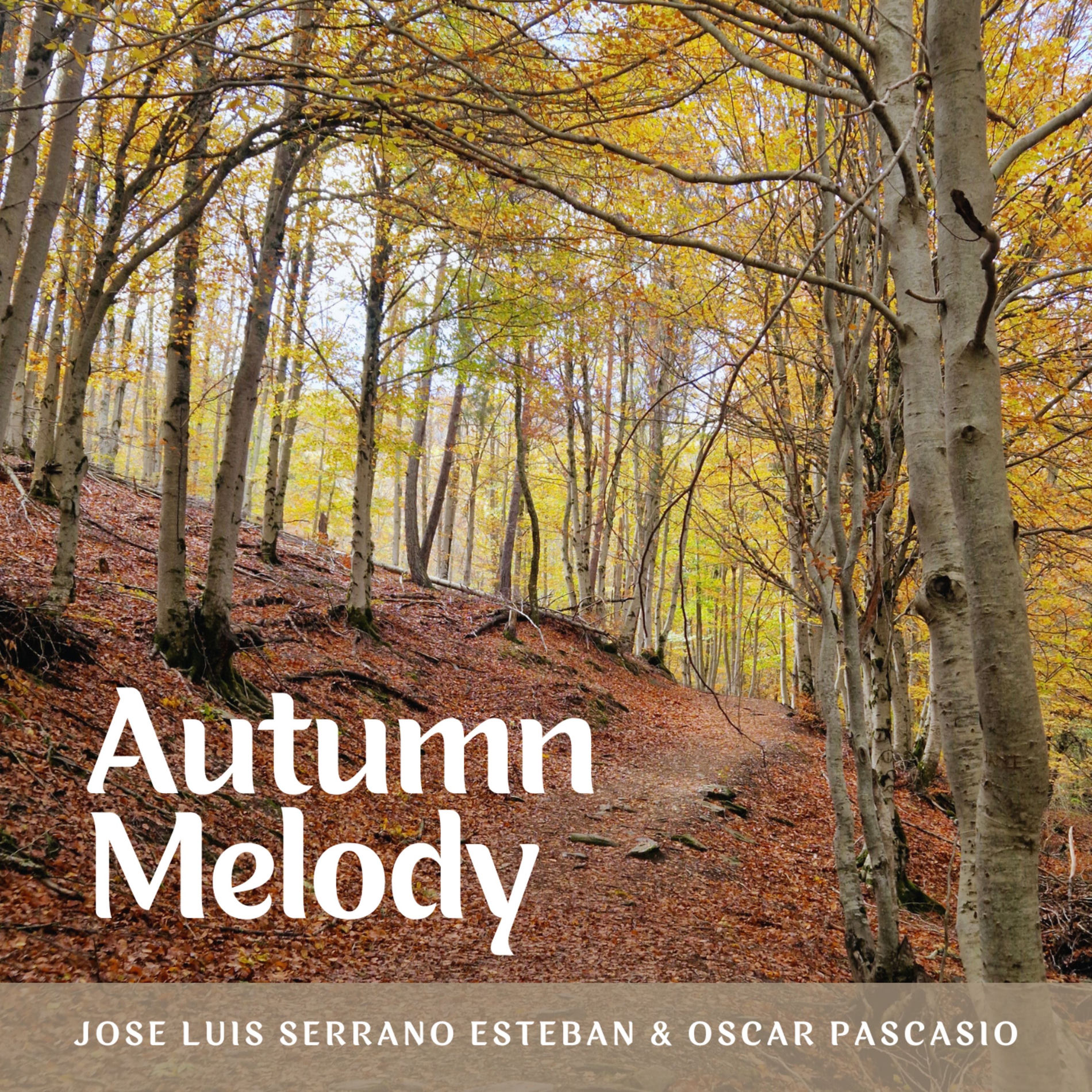 Album cover of Autumn Melody