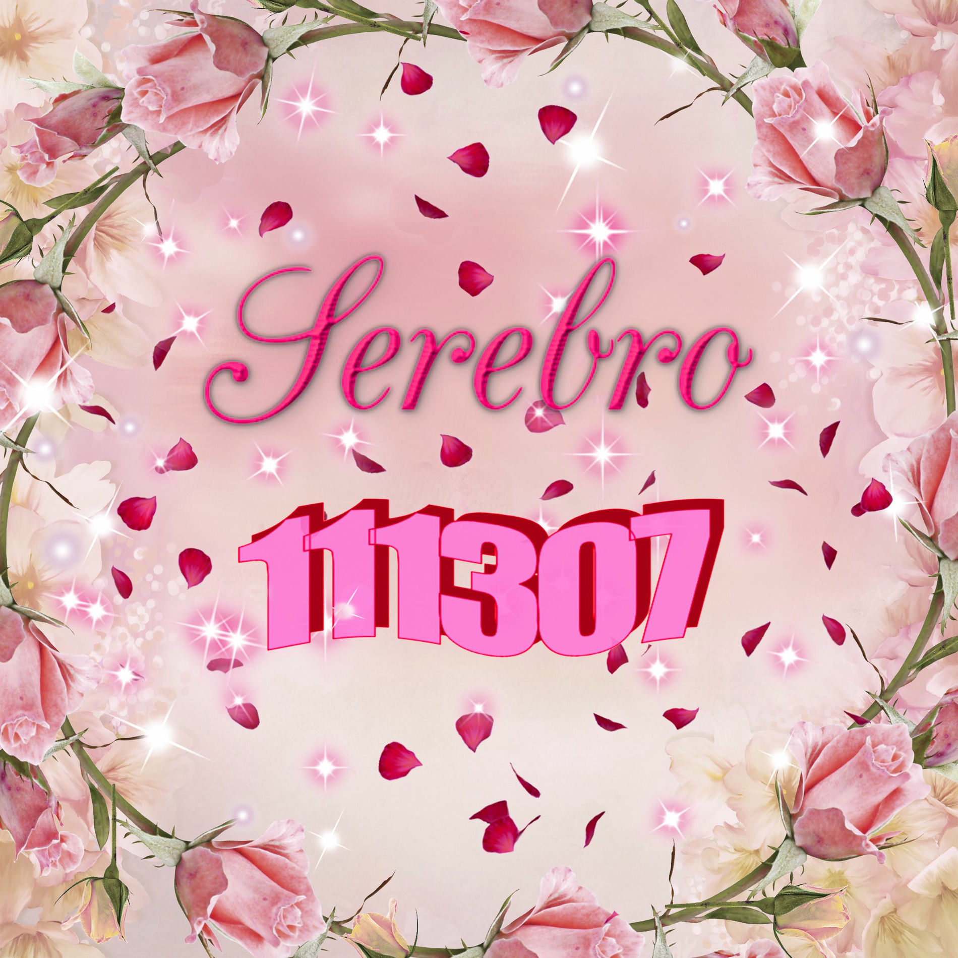 Album cover of 111307