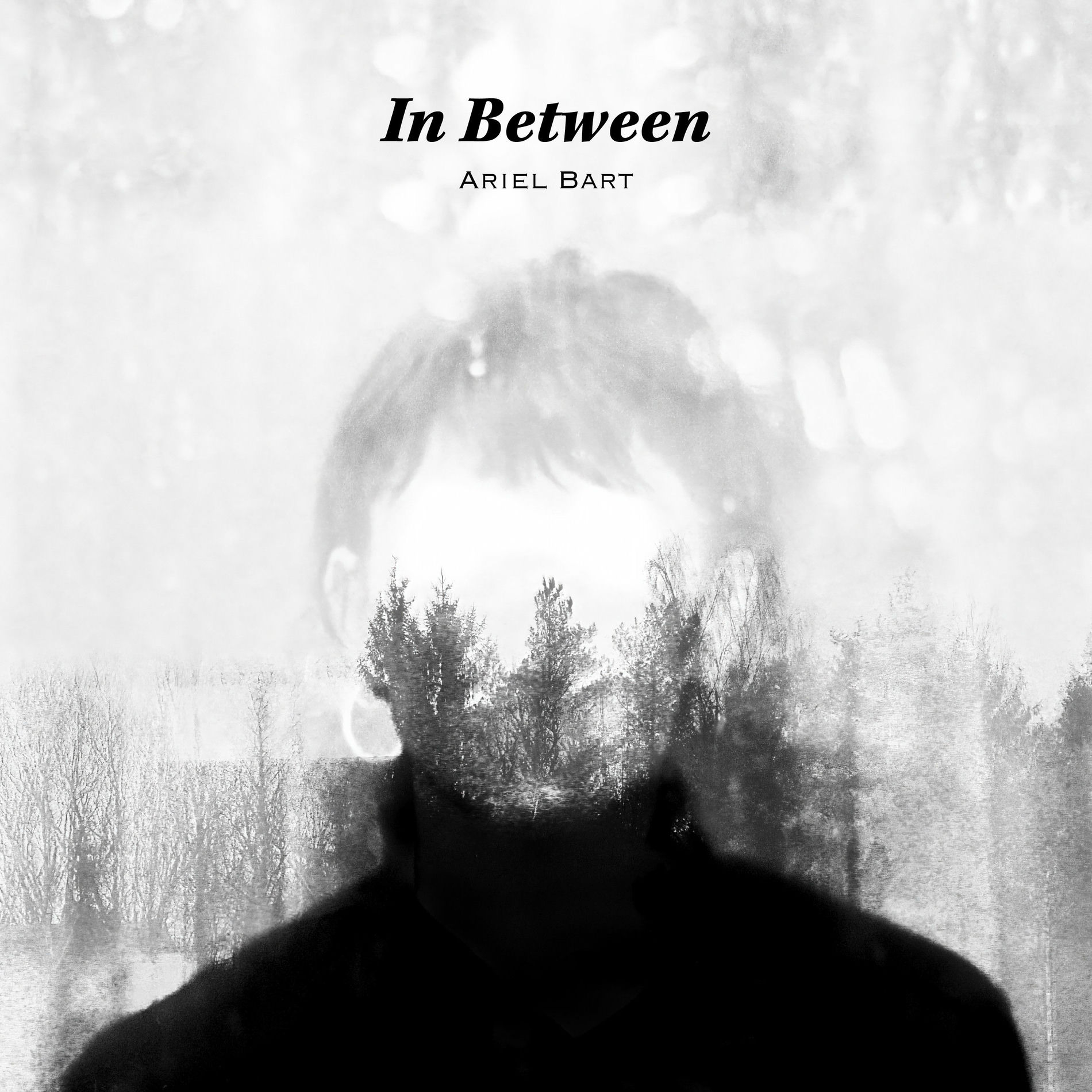 Album cover of In Between