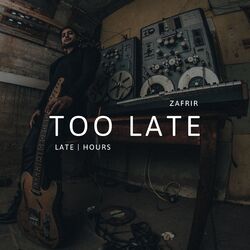 Cover of Too Late