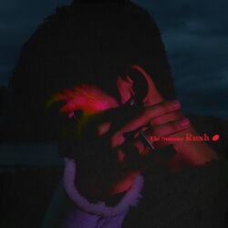 Cover of THE SUMMER RUSH