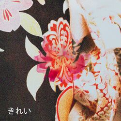 Cover of Kirei