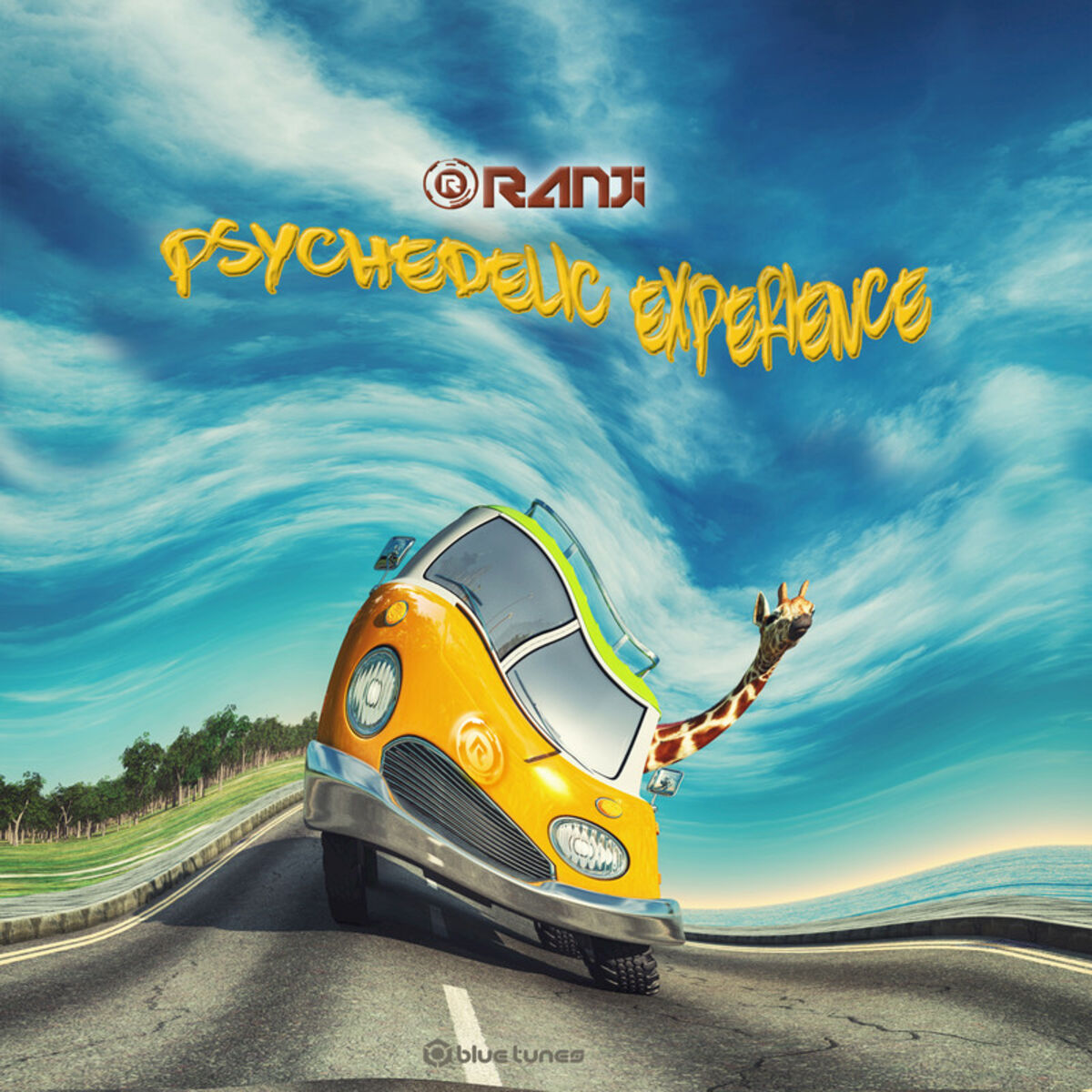 Album cover of Psychedelic Experience