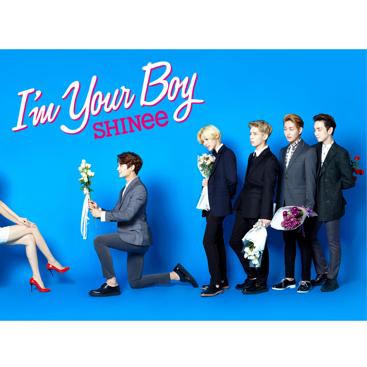 Album cover of I'm Your Boy