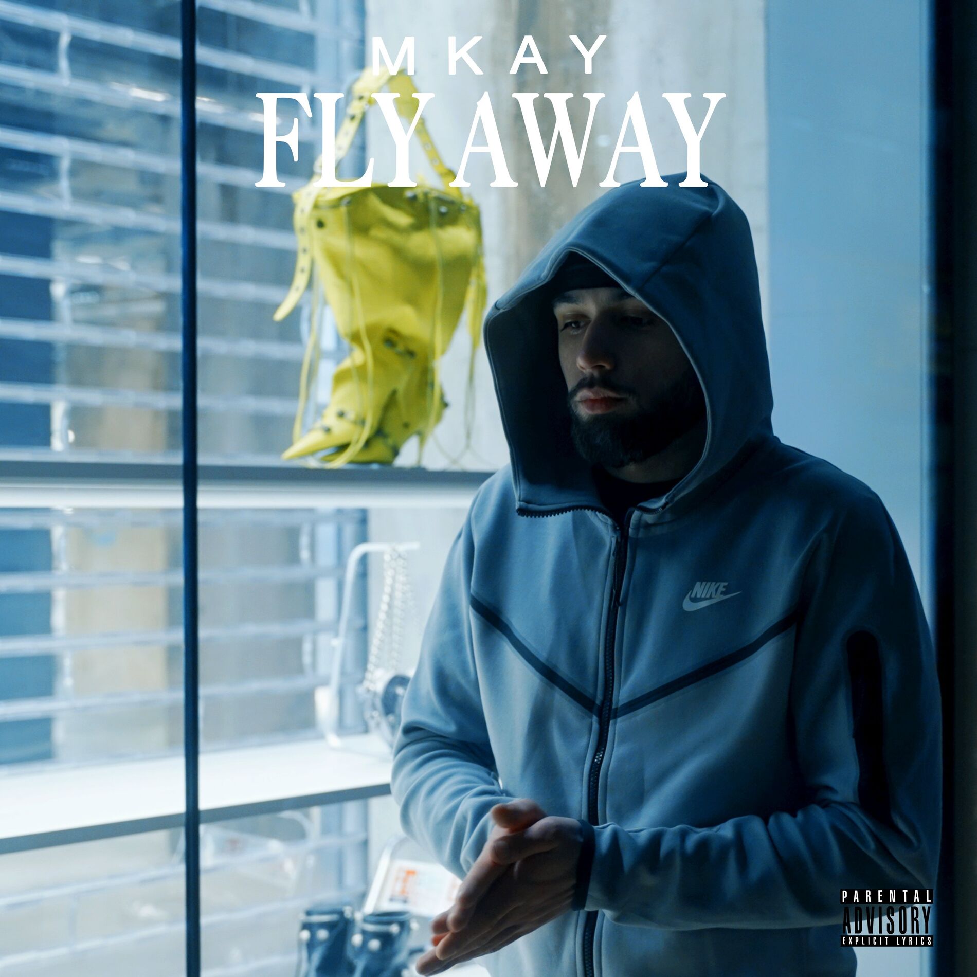 Album cover of Fly Away