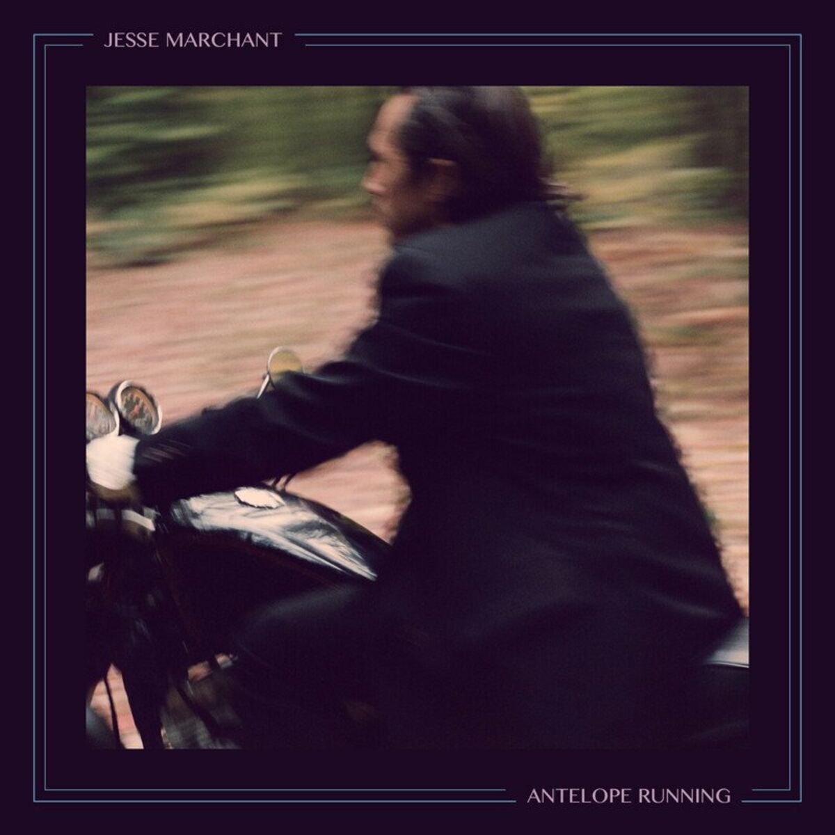 Album cover of Antelope Running