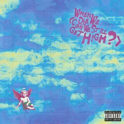 Cover of When We Die (Can We Still Get High?)