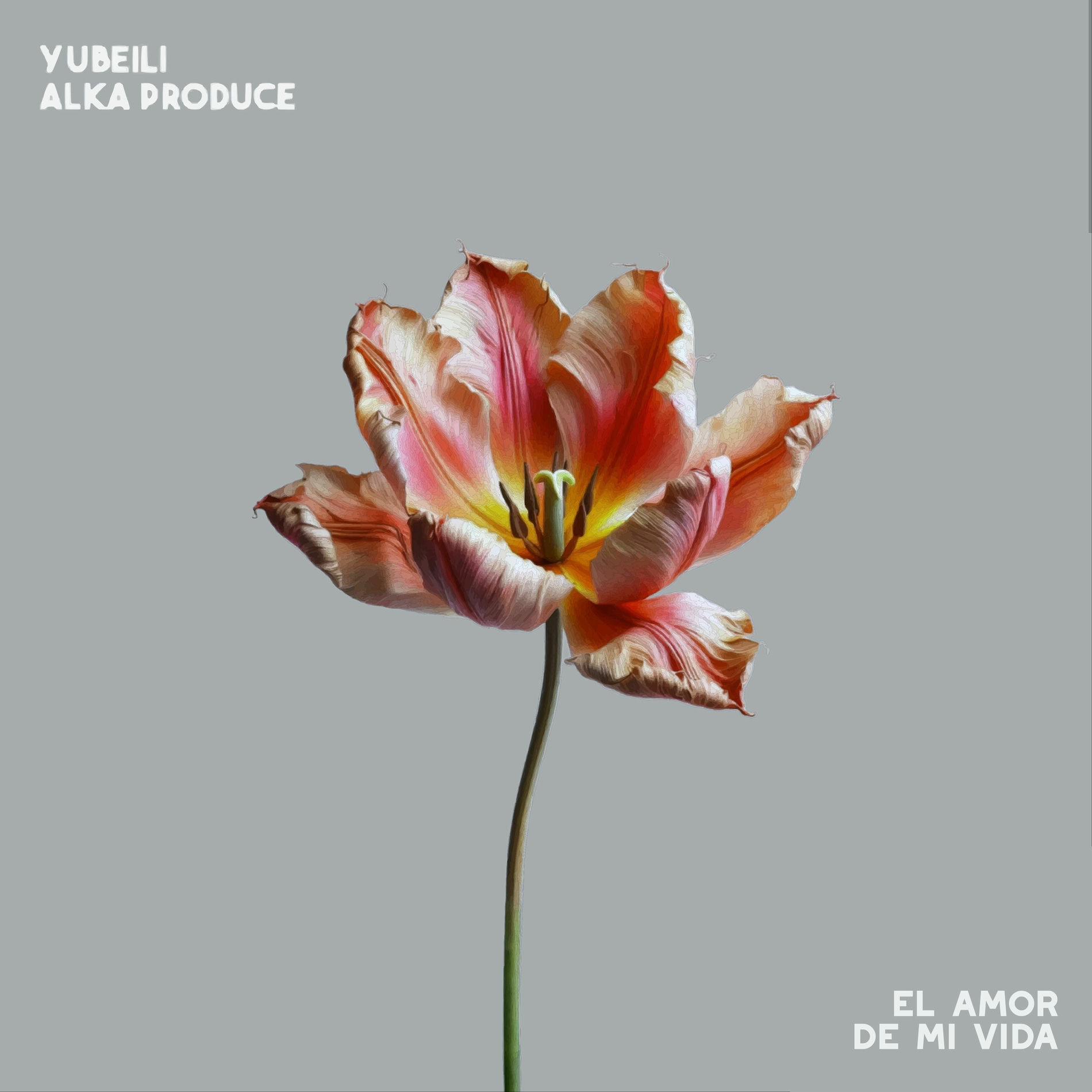 Album cover of El Amor De Mi Vida