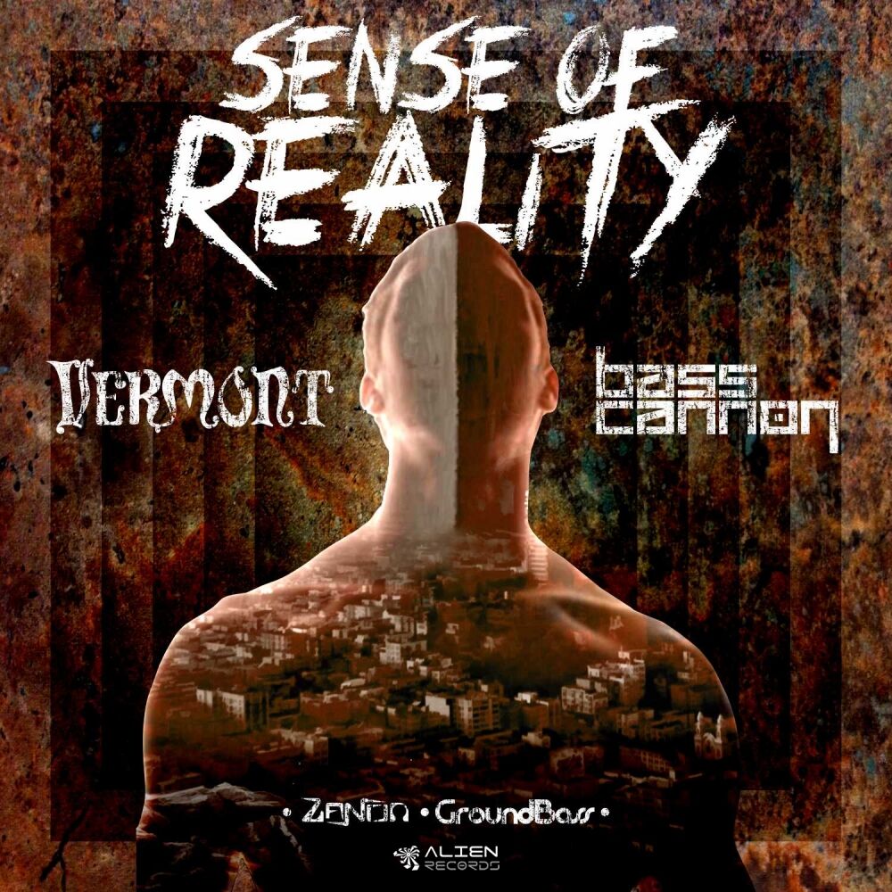 Picture of Sense Of Reality