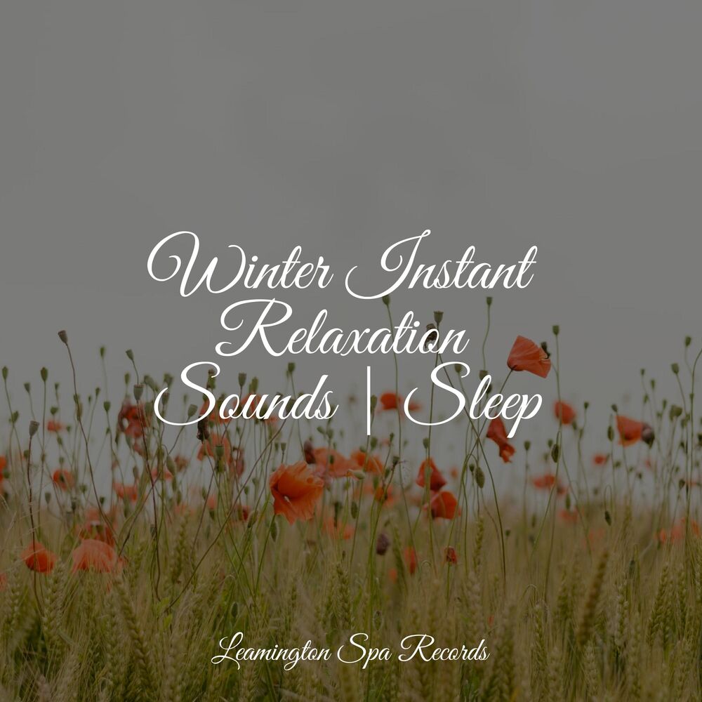Picture of Winter Instant Relaxation Sounds | Sleep