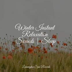 Cover of Winter Instant Relaxation Sounds | Sleep