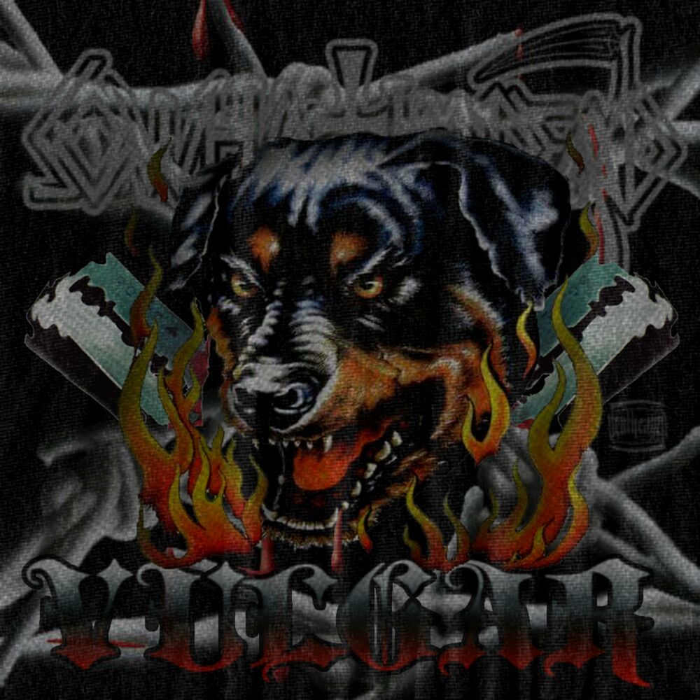 Picture of Vulgar