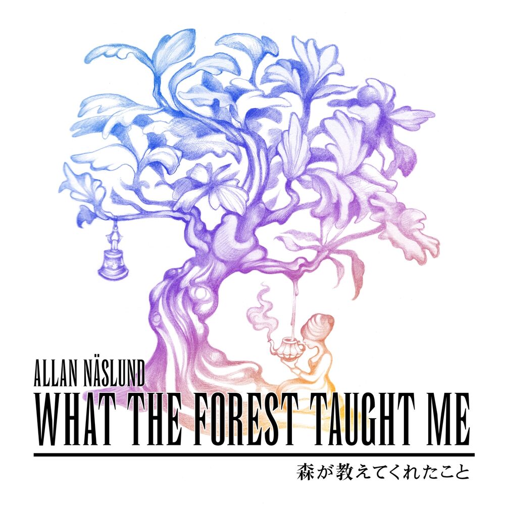 Picture of What the Forest Taught Me