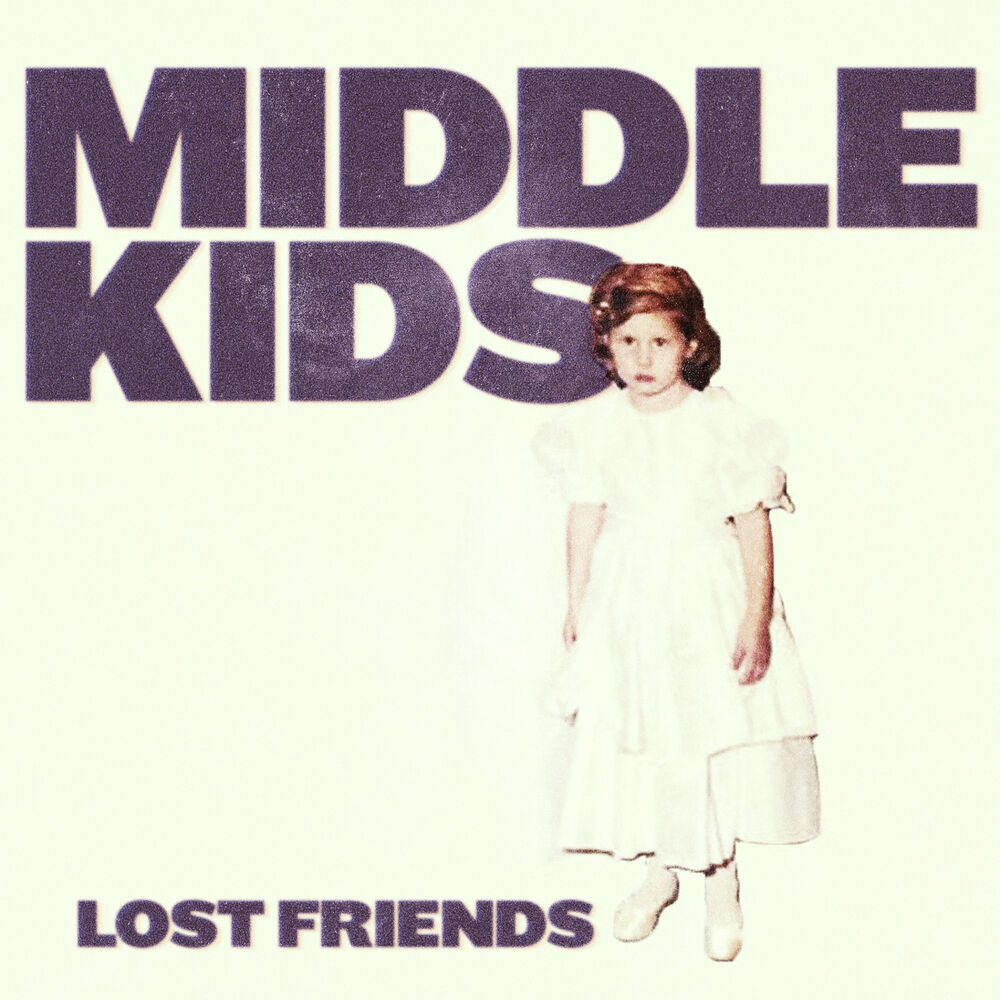 Picture of Lost Friends