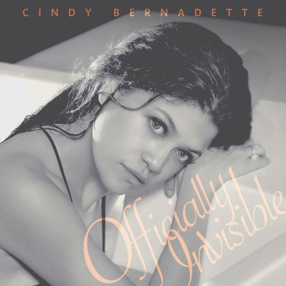 Picture of Officially Invisible