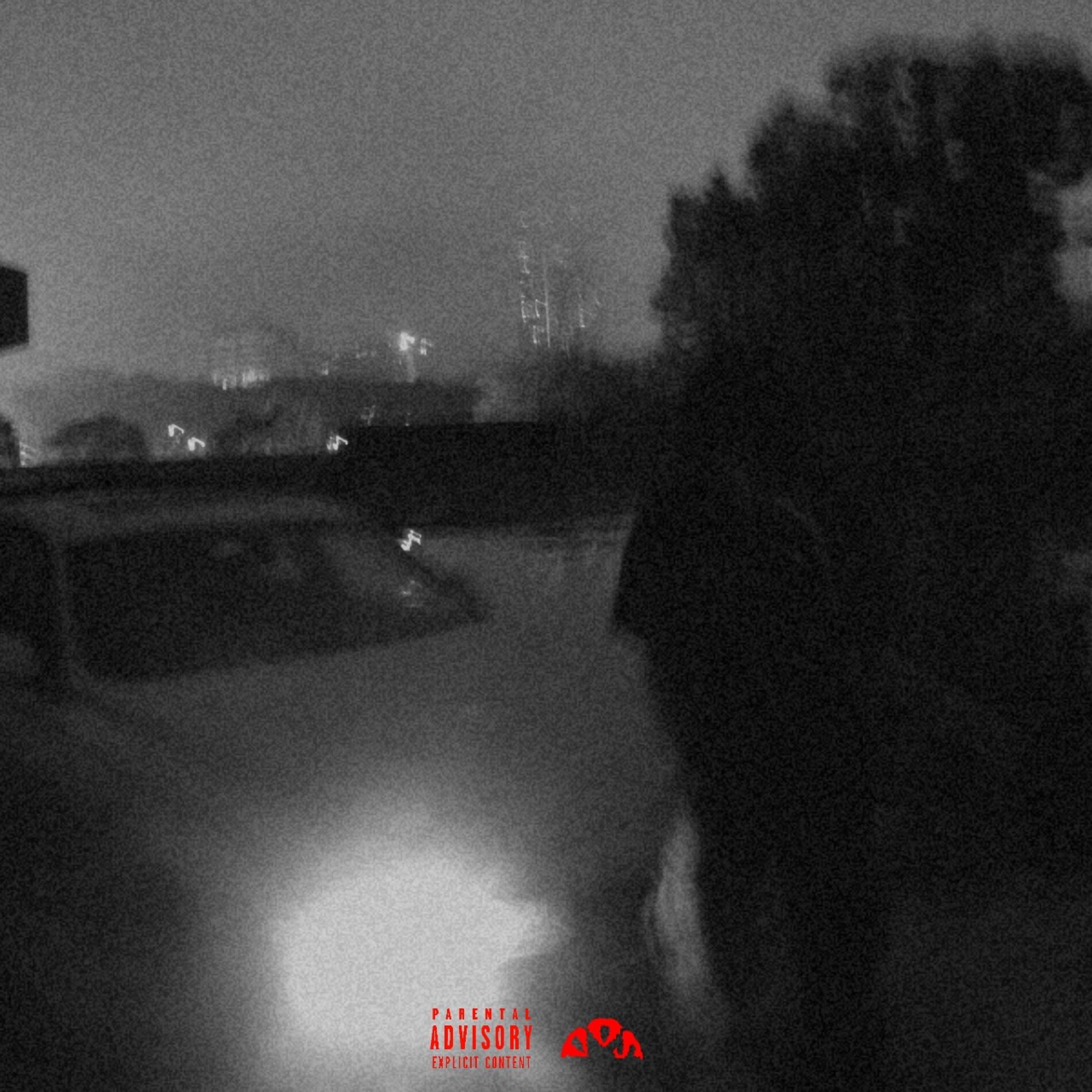 Album cover of Not The Same